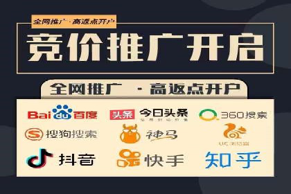 百度竞价排名实战：某行业领先企业的成功之路